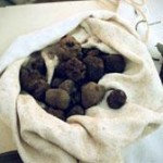 truffes