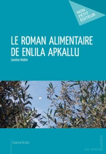 Couverture du livre "Le roman alimentaire de Enlila Apkallu" par Caroline Maillet