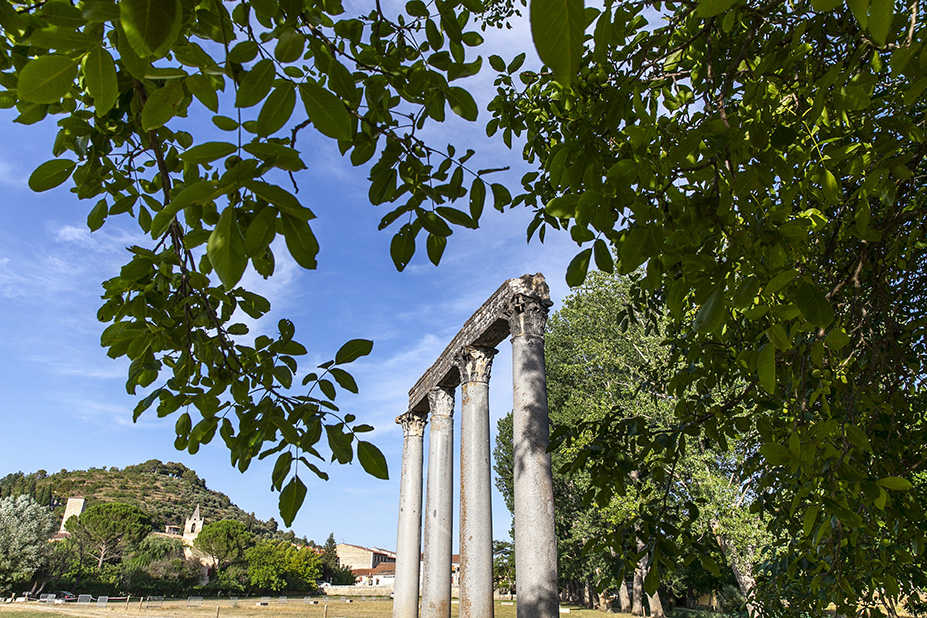 Les colonnes et la colline Saint-Maxime en fond à Riez ©AD04-Thibaut Vergoz