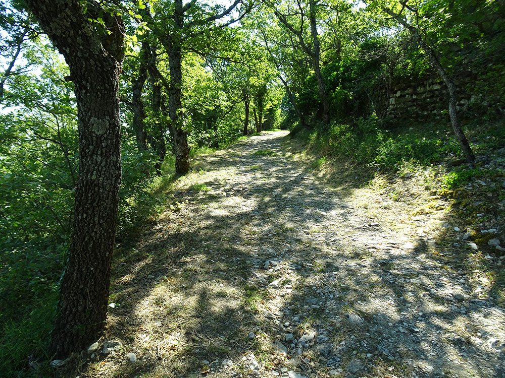 A l'ombre d'un chemin à Montjustin ©AD04-FB A l'ombre d'un chemin à Montjustin