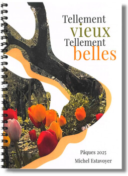 Tellement vieux Tellements belles de Michel Estavoyer