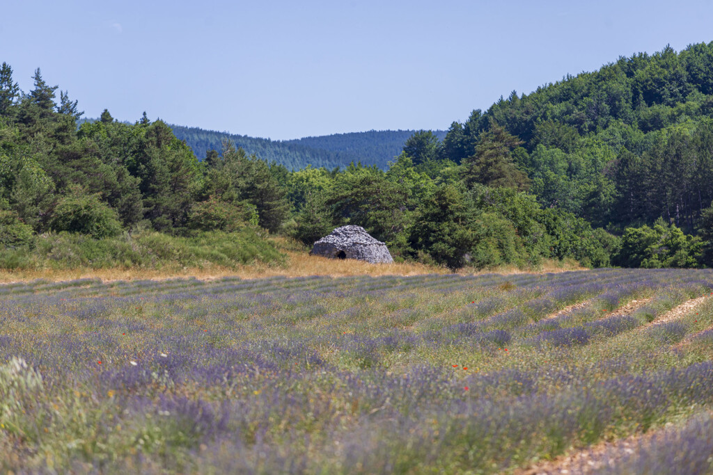 Paysage autour de Banon ©AD04-Adrien Noat
