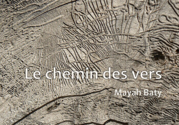 Le chemin des vers de Mayah Baty Le chemin des vers de Mayah Baty