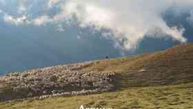 Ma transhumance Carnets de routo de Antoine de Baecque Ma transhumance Carnets de routo de Antoine de Baecque