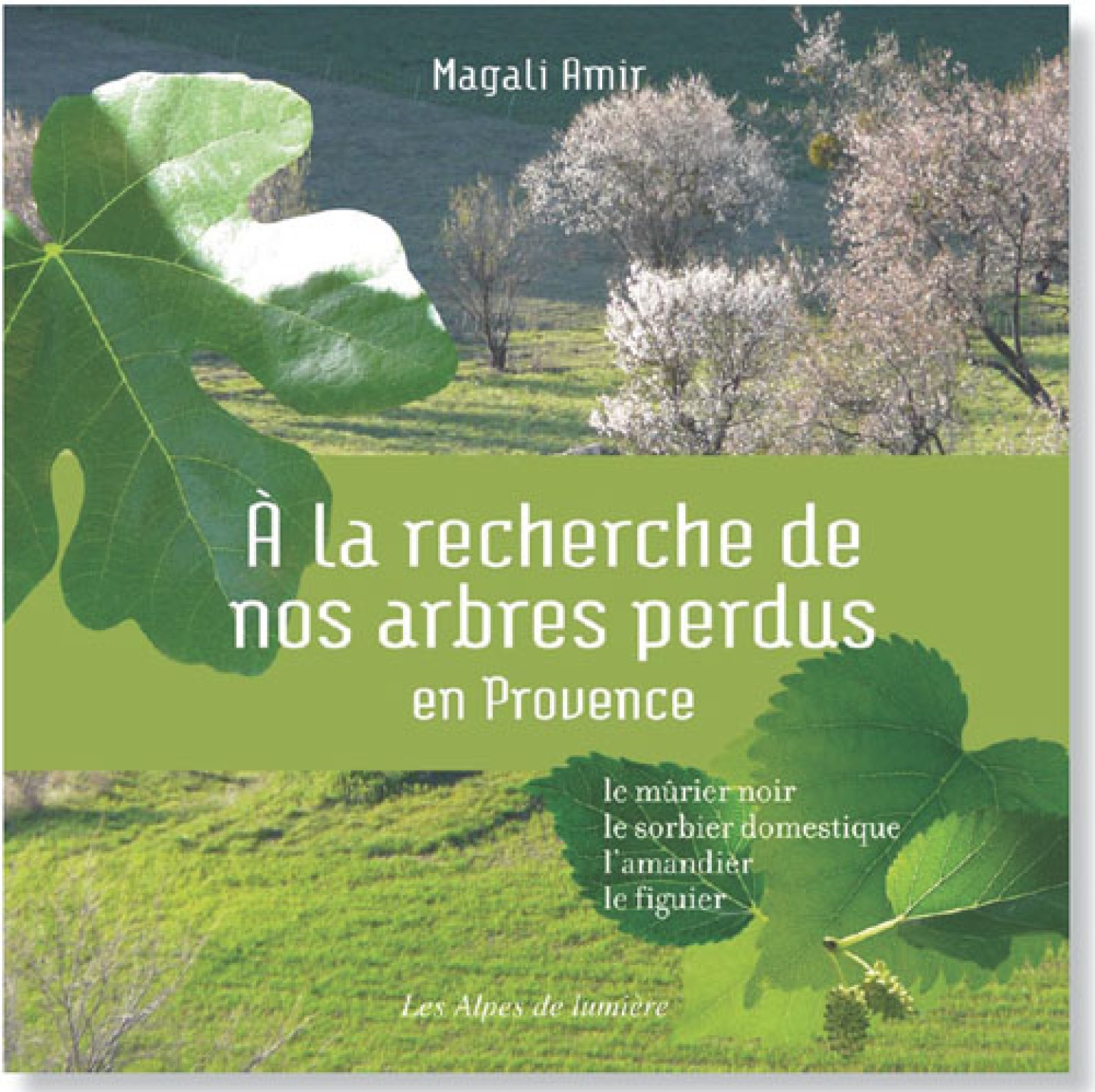 Couverture du livre A la recherche de nos arbres perdus en Provence