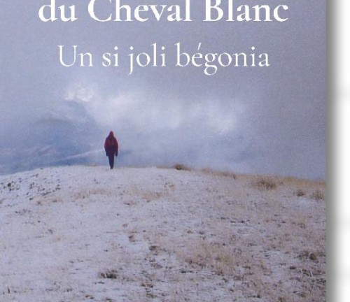 Robinson du Cheval Blanc, un si joli bégonia de Jean-Louis Carribou
