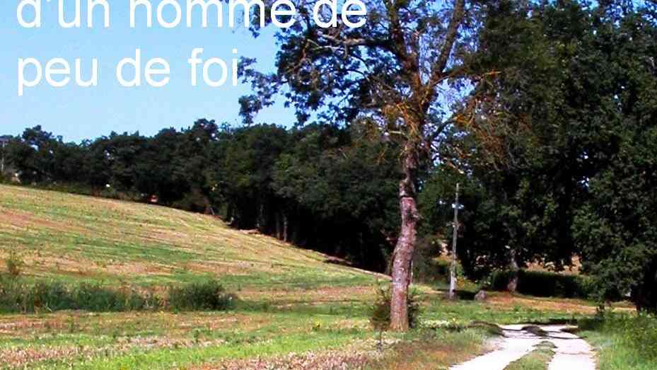 Voyage à Compostelle d'un homme de peu de foi de Jean-Claude Barbier