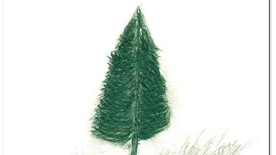 L’épicéa de mon enfance de Jack Meurant L’épicéa de mon enfance de Jack Meurant