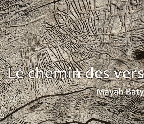 Le chemin des vers de Mayah Baty