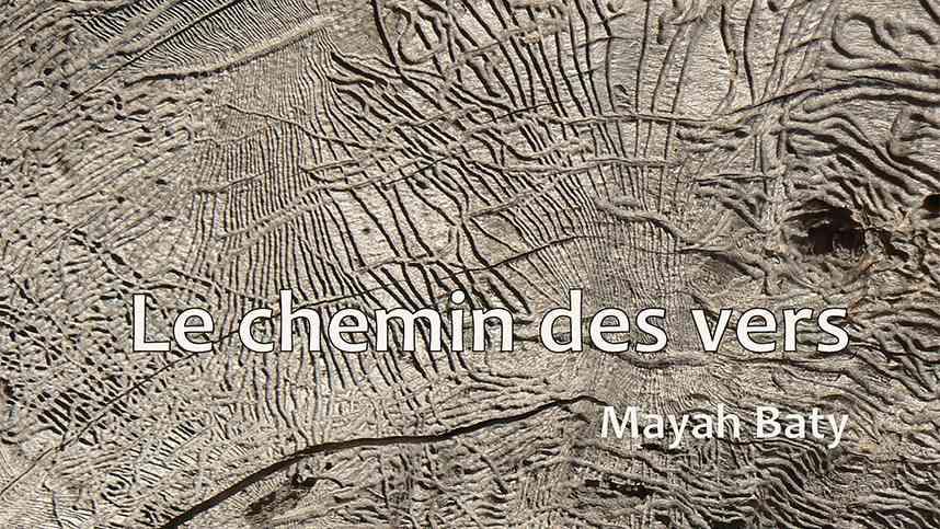 Le chemin des vers de Mayah Baty