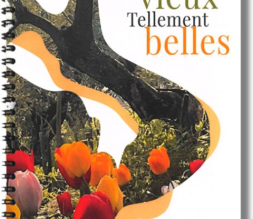 Tellement vieux Tellements belles de Michel Estavoyer