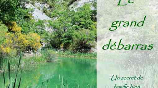 Le grand débarras de Serpan - Serge Panis Le-grand-debarras-serpan-serge-panis