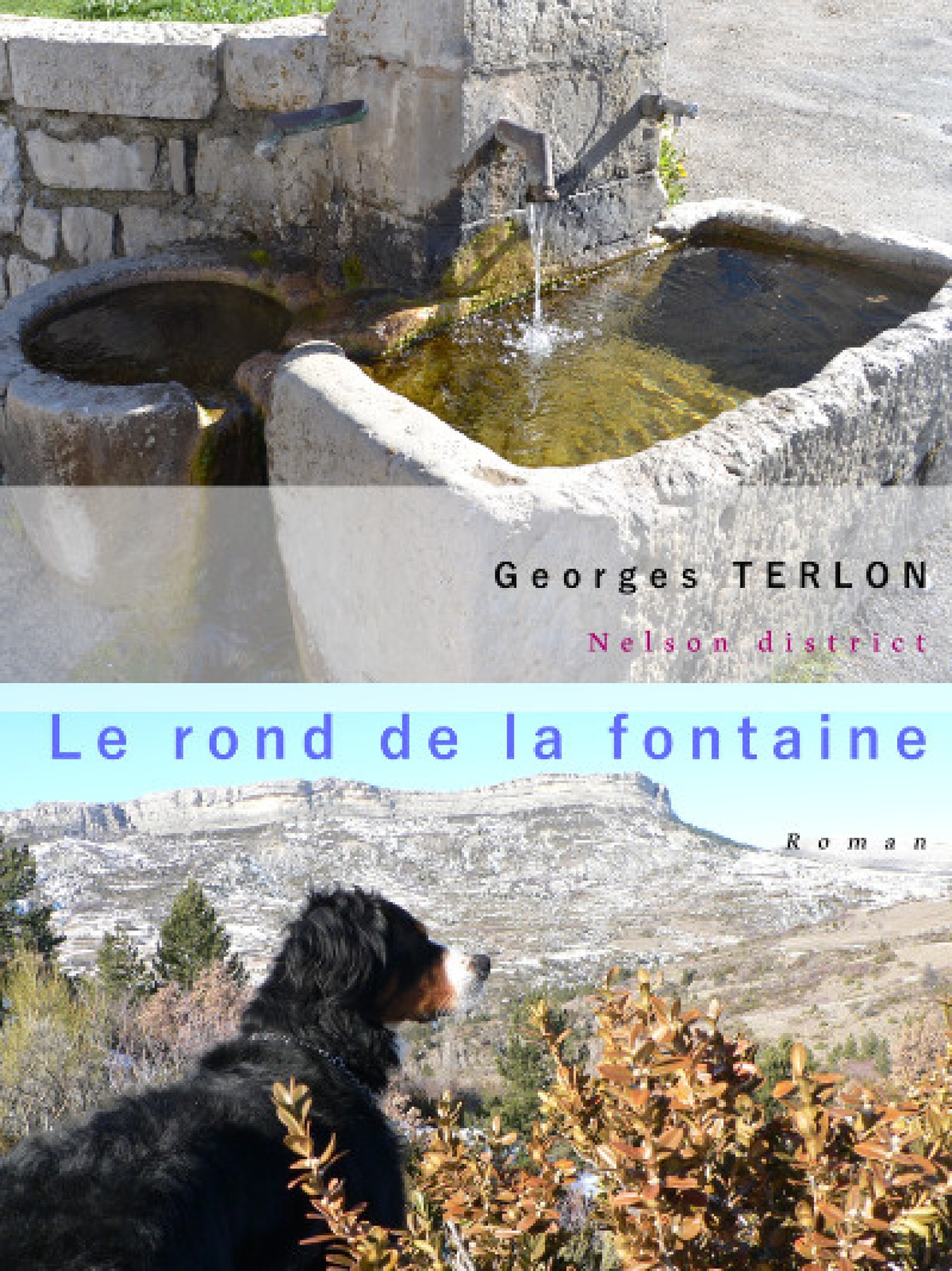 Le rond de la fontaine de Georges Terlon