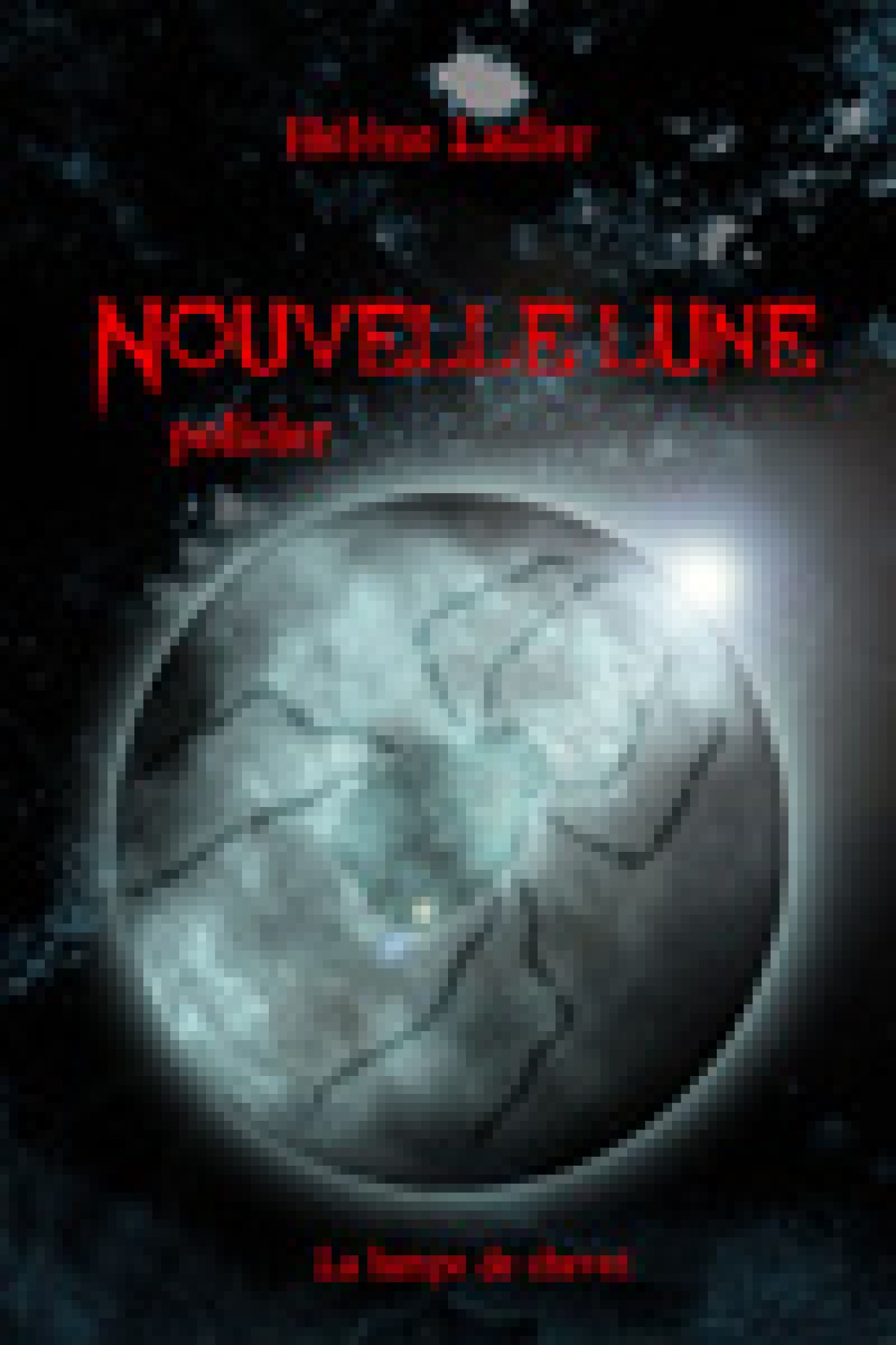 Roman d'Hélène Ladier Nouvelle Lune