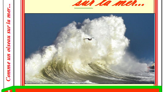 Comme un oiseau sur la mer de Daniel Berthet