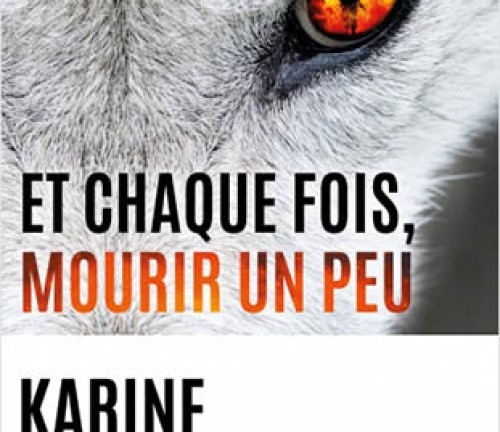 Et chaque fois, mourir un peu de Karine Giebel