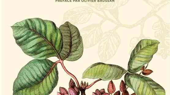 Le Pistachier, un arbre d'avenir de Magali Amir