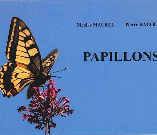 Papillons de Pierre Ragolski et Nicolas Maurel