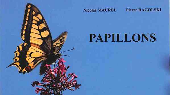 Papillons de Pierre Ragolski et Nicolas Maurel