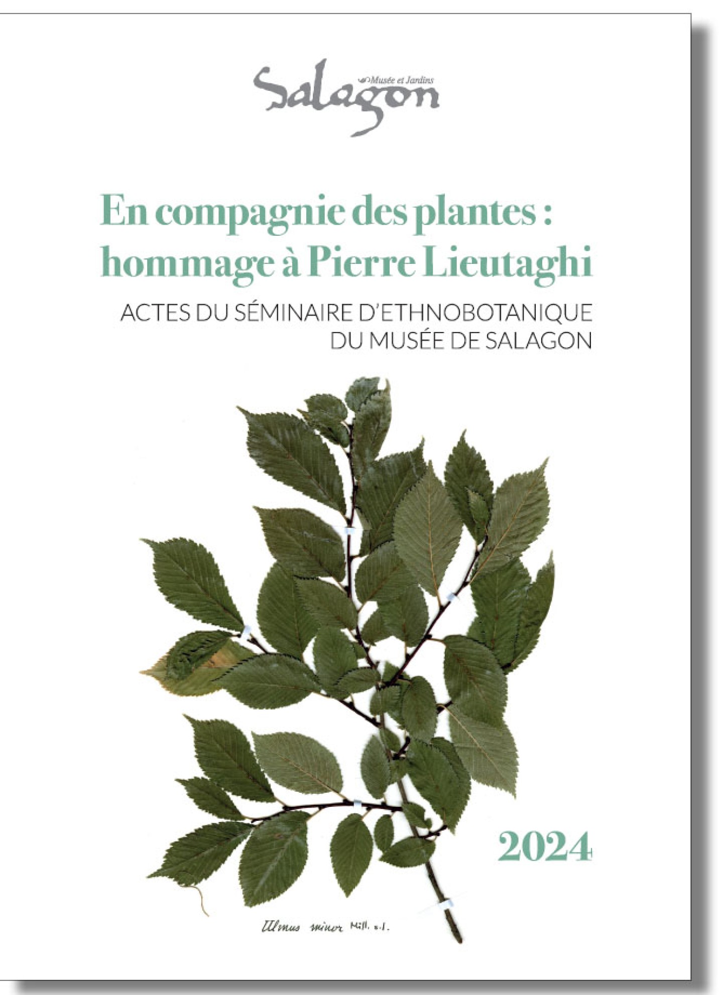 En compagnie des plantes : hommage à Pierre Lieutaghi
