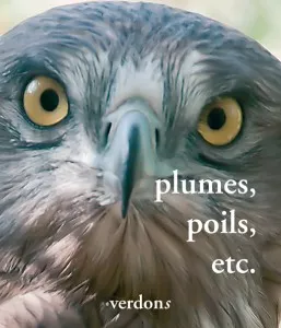 Revue Verdons n° 41 "plumes, poils, etc..."