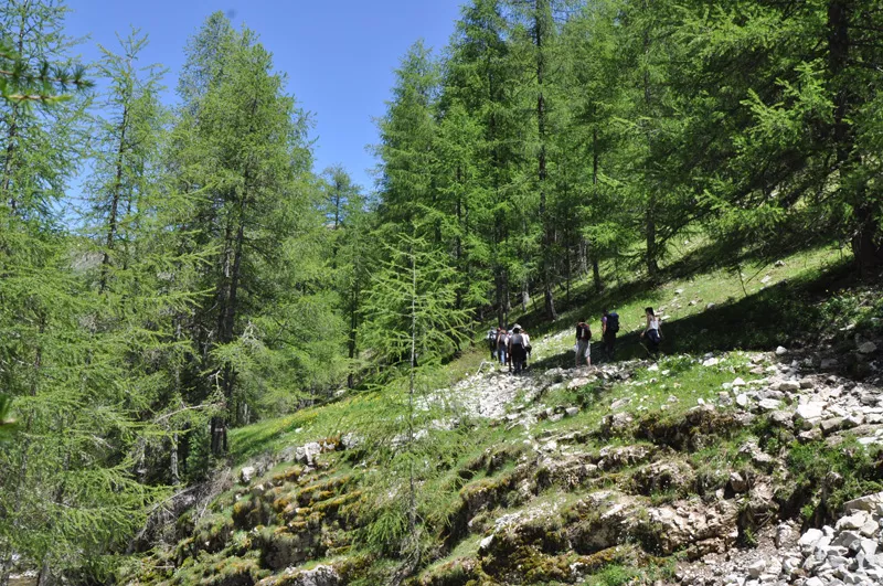 paysage de montagne Alpes Mercantour