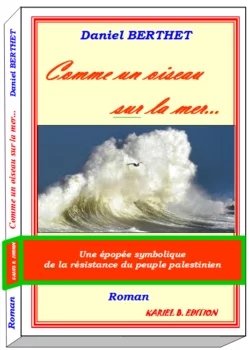 Comme un oiseau sur la mer de Daniel Berthet
