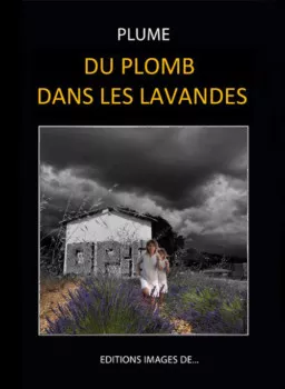 Du plomb dans les lavandes de Jean-Marie Plume