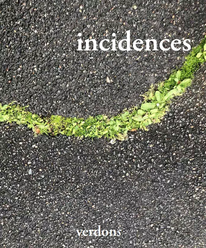 Revue verdons n° 71 incidences Revue verdons n° 71 incidences