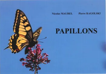 Papillons de Pierre Ragolski et Nicolas Maurel