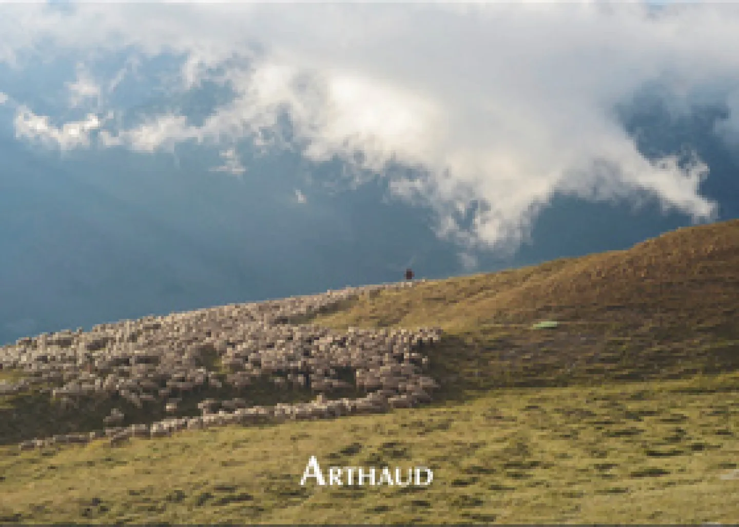 Ma transhumance Carnets de routo de Antoine de Baecque