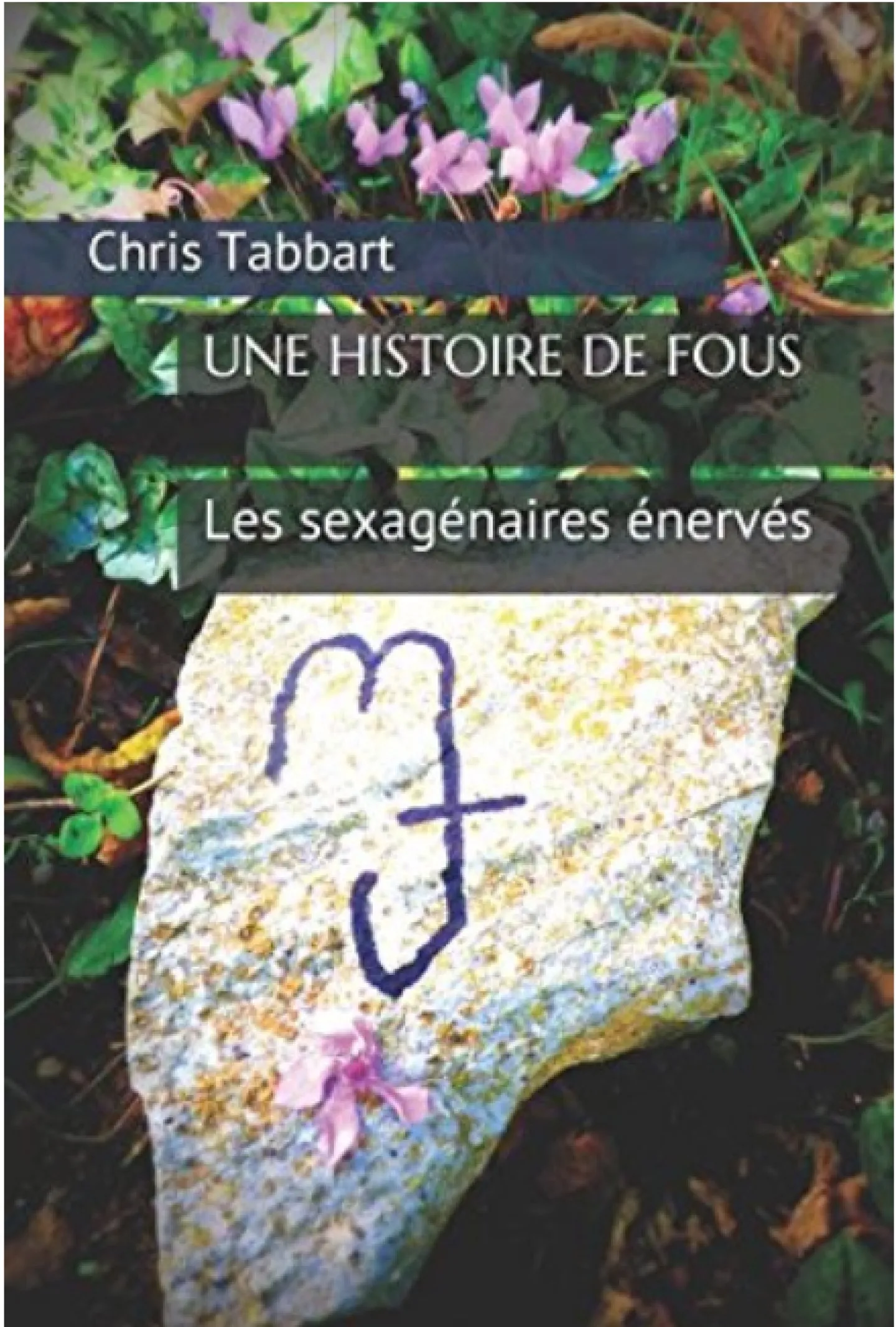 Une histoire de fous de Chris Tabbart