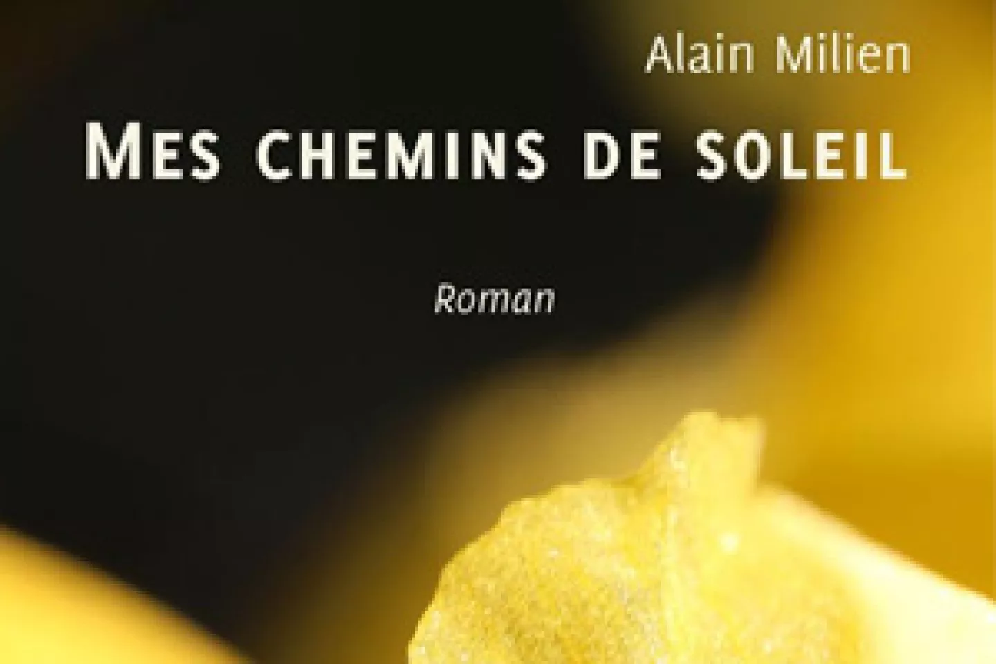Mes chemins de soleil d'Alain Milien