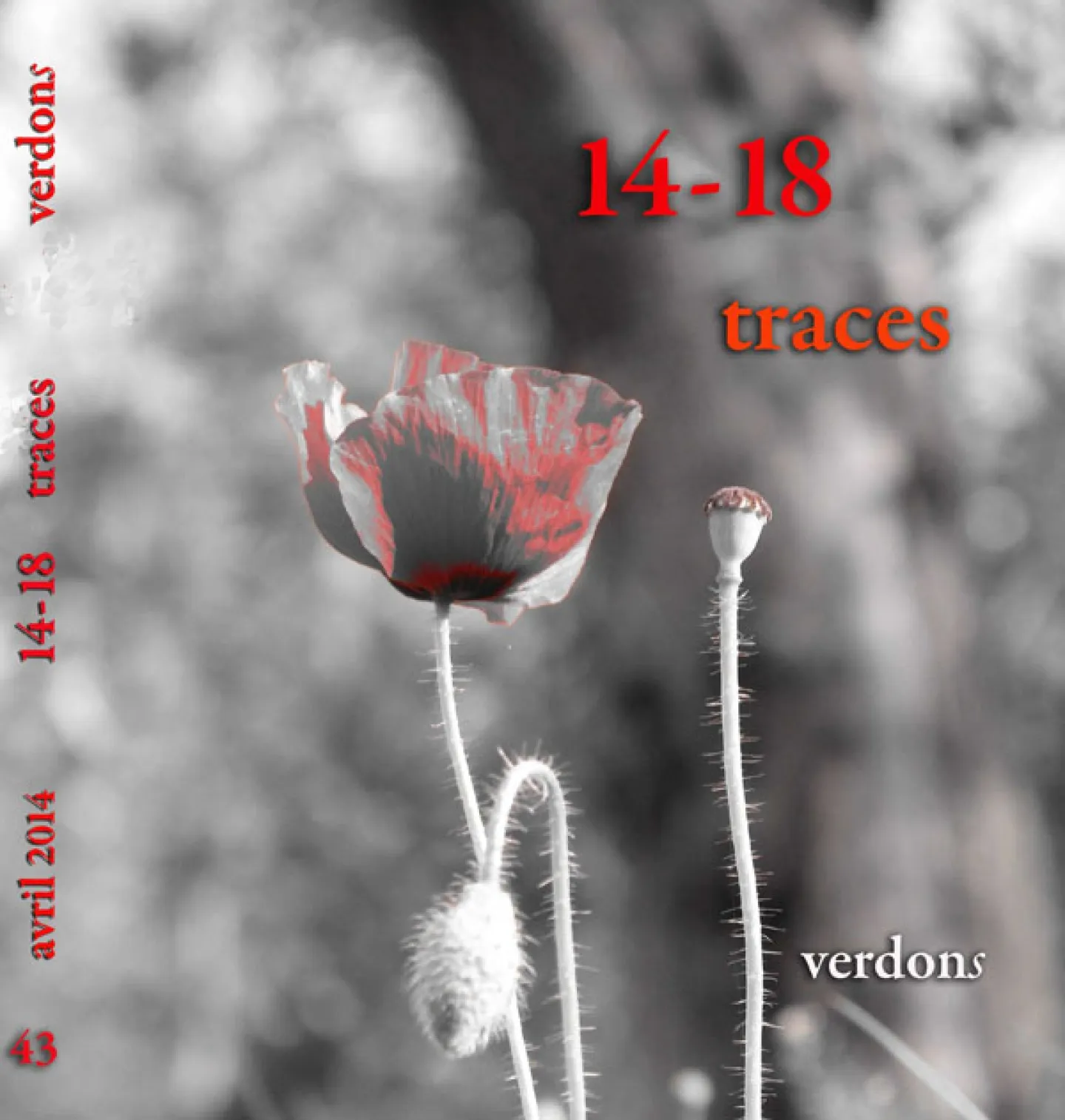 Revue Verdons N°43 