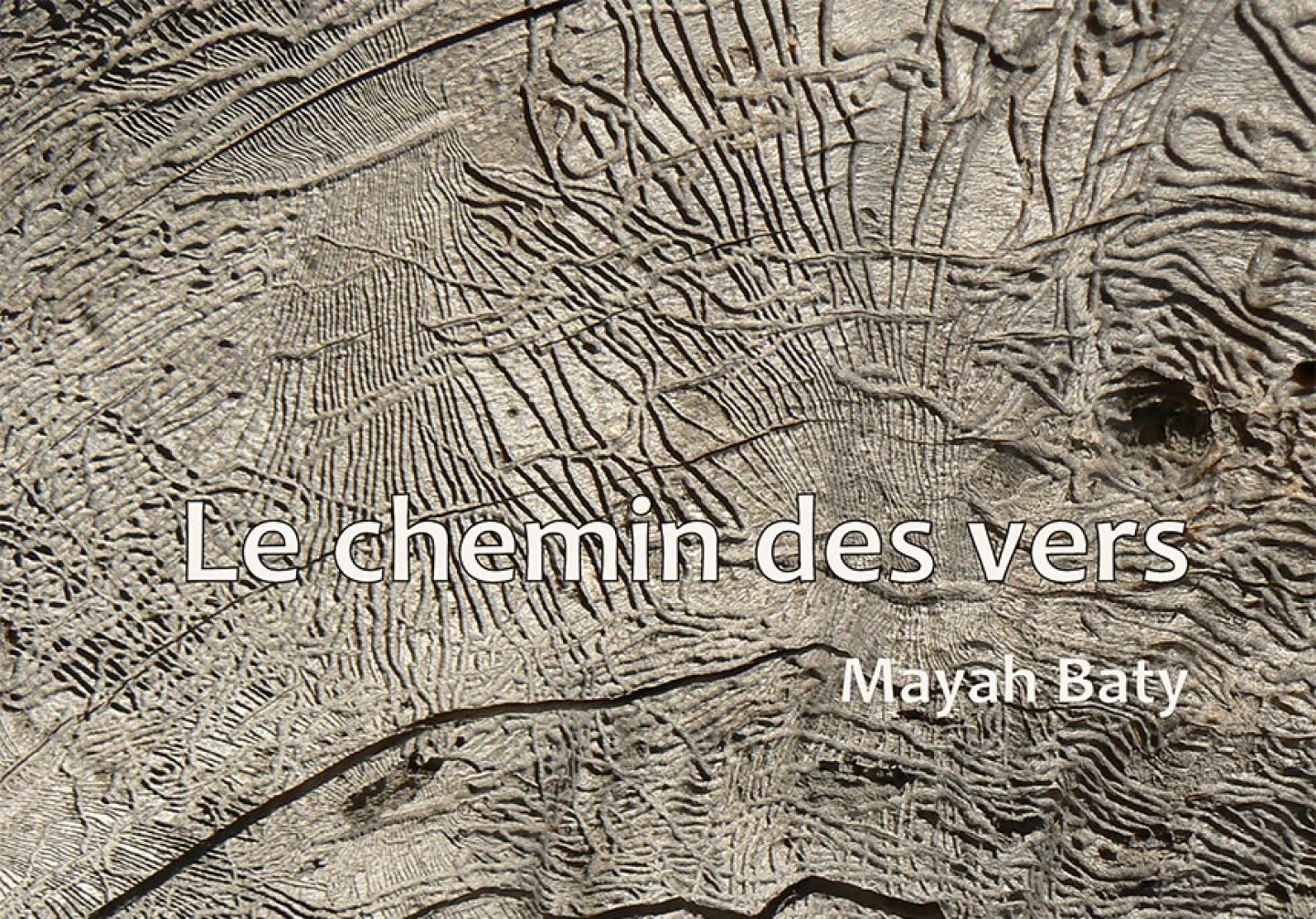 Le chemin des vers de Mayah Baty