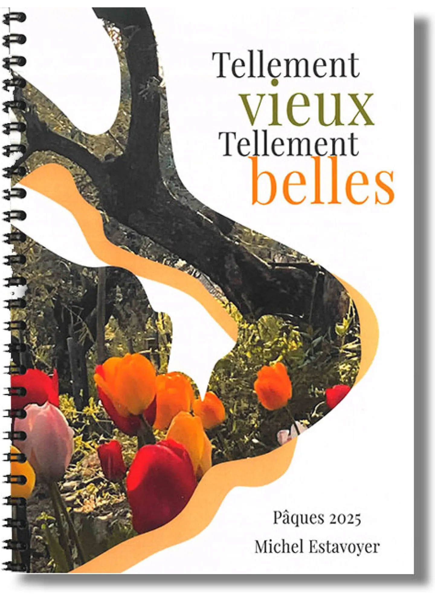 Tellement vieux Tellements belles de Michel Estavoyer