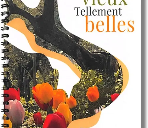 Tellement vieux Tellements belles de Michel Estavoyer