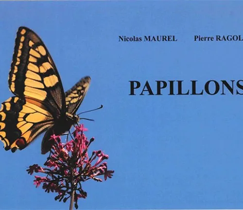 Papillons de Pierre Ragolski et Nicolas Maurel