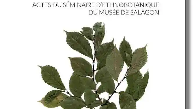 En compagnie des plantes : hommage à Pierre Lieutaghi En compagnie des plantes : hommage à Pierre Lieutaghi