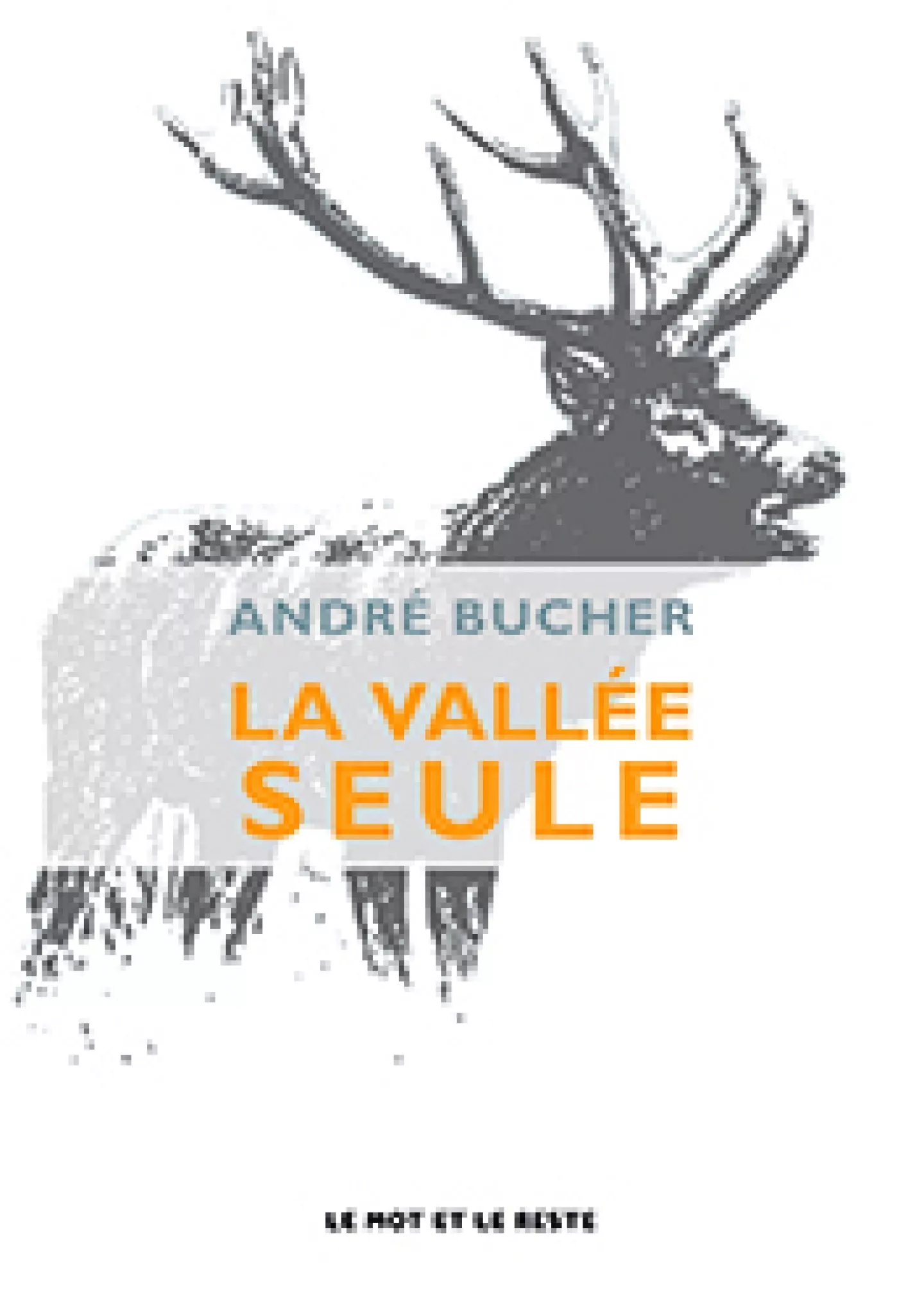 La Vallée seule, André Bucher, roman, éditions le mot et le reste, 2013